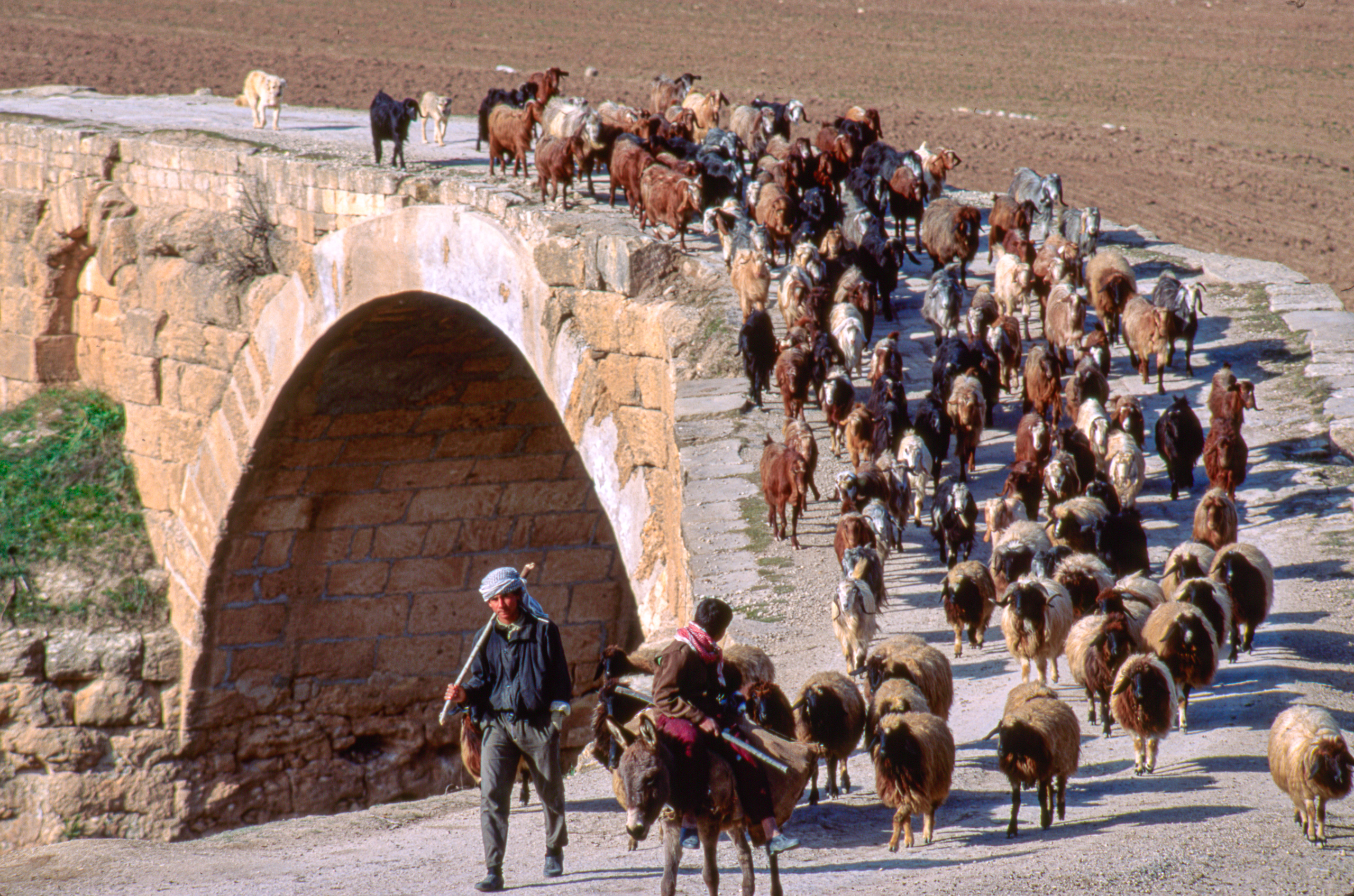 THE BRIDGE OVER THE AFRIN