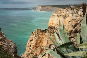 Friends of ICARDA Reunion 2018, Algarve, Portugal, 6-8 April. Photo: Michael Major