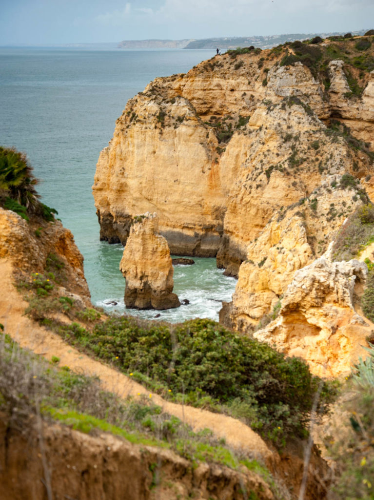 Friends of ICARDA Reunion 2018, Algarve, Portugal, 6-8 April. Photo: Michael Major