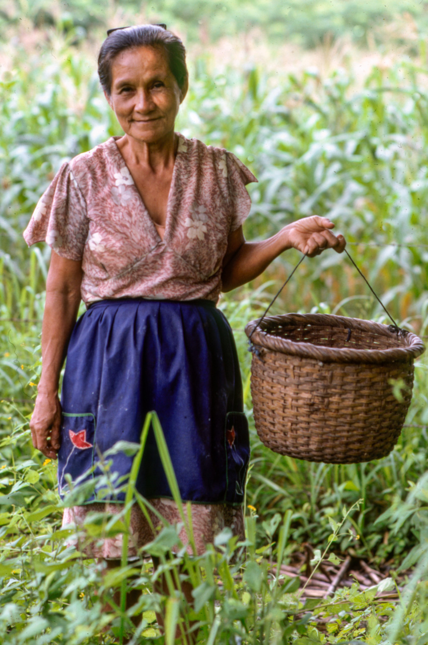 The case of Doña Pacha