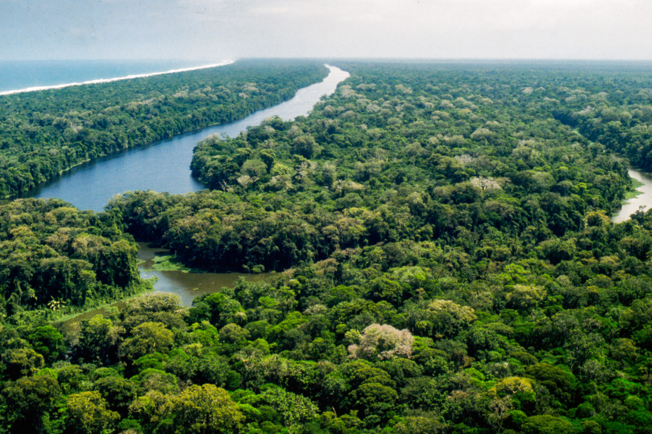 TORTUGUERO