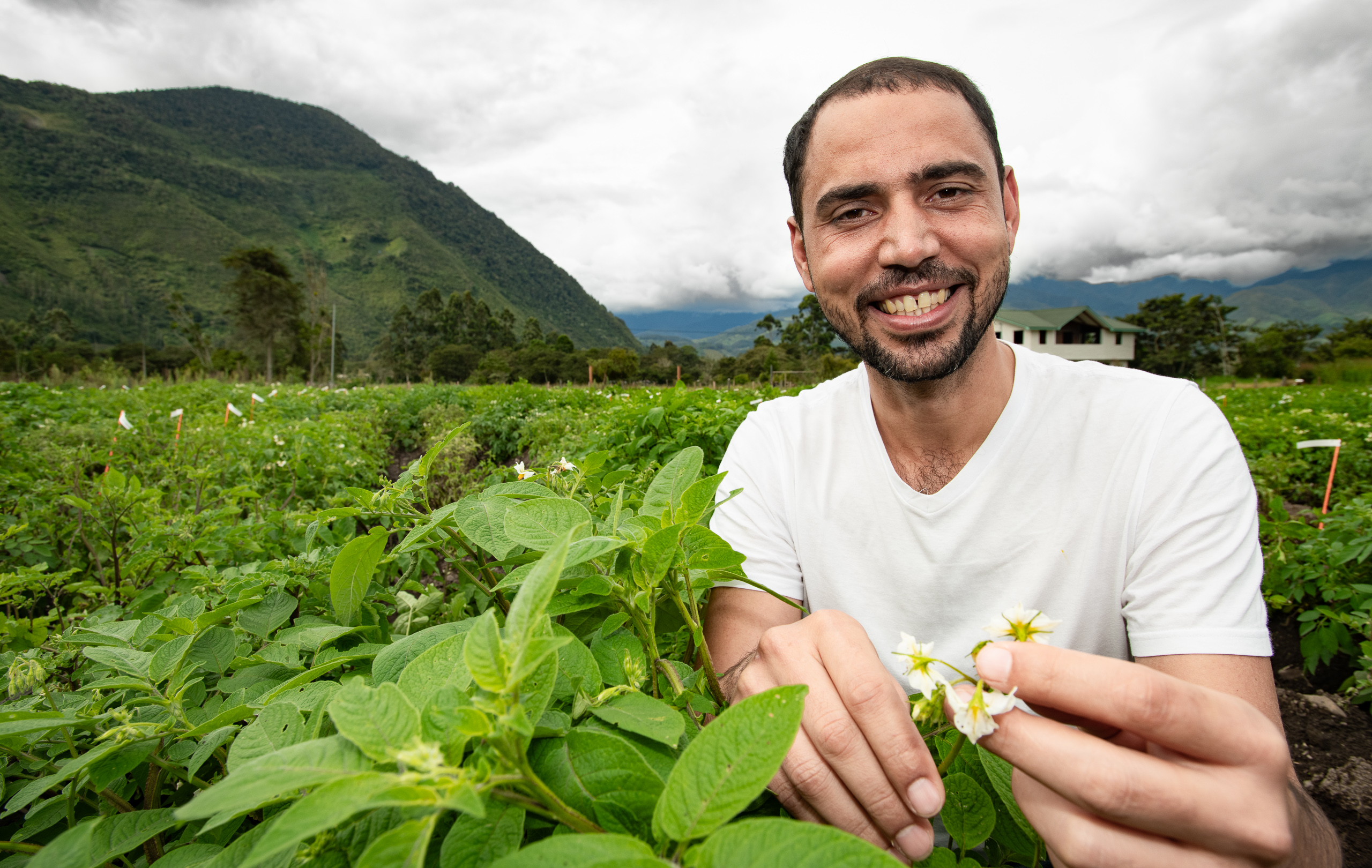 POTATOES FOR A CHANGING CLIMATE