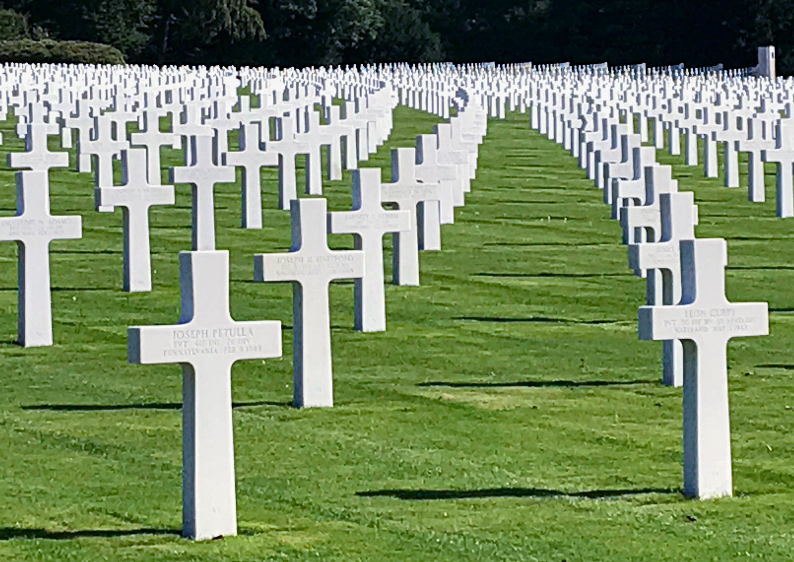 PAYING RESPECTS TO OUR COUSIN