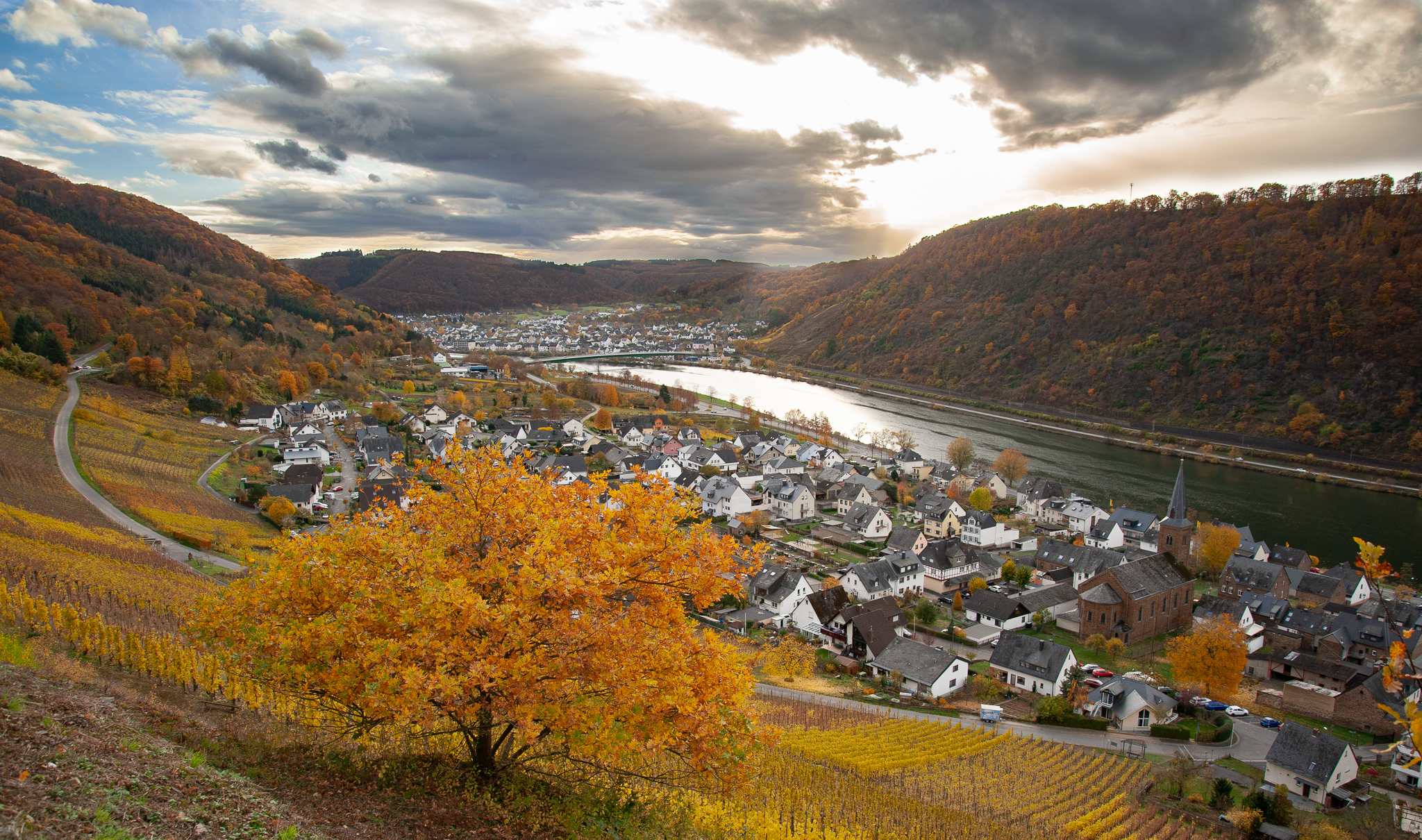 THE MOSELLE IN ITS AUTUMN SPLENDOUR