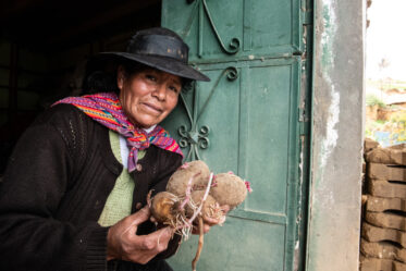 Maryluz Contreras of Colpar in central Peru is sharing her knowledge about potatoes with the project team. In the fields near her home, project staff have planted two kinds of potatoes and are asking community members like Maryluz to select their preferred potato. Photo: Michael Major for Crop Trust
