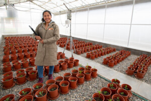 Kristel Hotuya, a Master of Science student at the Universidad Nacional Agraria La Molina (Peru). CWR Project 'Drought tolerance validation and screening in potato wild relatives and dihaploid (DH) progeny group'. Photo: Michael Major for Crop Trust