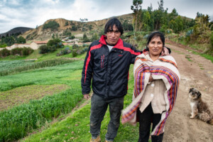 Field trials of two crop wild relative-derived clones in farmers' fields near Huancayo, Peru. Photo: Michael Major for Crop Trust