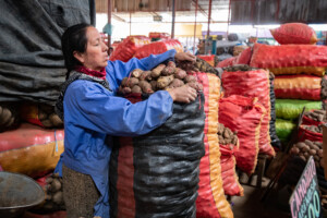 Potato diversity in Huancayo central market. Photo: Michael Major for Crop Trust
