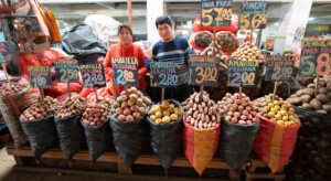 Potato diversity in Huancayo central market. Photo: Michael Major for Crop Trust