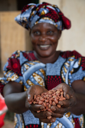 Fatim Sey, Member of Yanpi Cooperative, Jahaur.
Members of the Jahuur Farmers’ Cooperative attended a training session provided by the Gambian National Agricultural Research Institute (NARI) to learn how to make their own ‘fortified’ porridge using pearl millet, cowpea, maize and groundnut.
Photo taken during a visit to The Gambia on 27-29 August 2023 to document success stories under a project “Improving Agricultural Resilience to Salinity through Development and Promotion of Pro-poor Technologies (RESADE)” implemented by the International Center for Biosaline Agriculture (ICBA) and funded by the International Fund for Agricultural Development (IFAD) and the Arab Bank for Economic Development in Africa (BADEA).
More information about the project can be found at: resade.biosaline.org/
Photo credit: Michael Major for ICBA
Photo: Michael Major for ICBA
