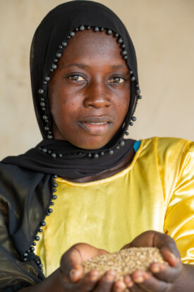 Saffie Jallow, Member of Yanpi Cooperative, Jahaur.
Members of the Jahuur Farmers’ Cooperative attended a training session provided by the Gambian National Agricultural Research Institute (NARI) to learn how to make their own ‘fortified’ porridge using pearl millet, cowpea, maize and groundnut.
Photo taken during a visit to The Gambia on 27-29 August 2023 to document success stories under a project “Improving Agricultural Resilience to Salinity through Development and Promotion of Pro-poor Technologies (RESADE)” implemented by the International Center for Biosaline Agriculture (ICBA) and funded by the International Fund for Agricultural Development (IFAD) and the Arab Bank for Economic Development in Africa (BADEA).
More information about the project can be found at: resade.biosaline.org/
Photo credit: Michael Major for ICBA