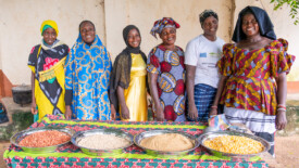 Members of the Jahuur Farmers’ Cooperative attended a training session provided by the Gambian National Agricultural Research Institute (NARI) to learn how to make their own ‘fortified’ porridge using pearl millet, cowpea, maize and groundnut.
Photo taken during a visit to The Gambia on 27-29 August 2023 to document success stories under a project “Improving Agricultural Resilience to Salinity through Development and Promotion of Pro-poor Technologies (RESADE)” implemented by the International Center for Biosaline Agriculture (ICBA) and funded by the International Fund for Agricultural Development (IFAD) and the Arab Bank for Economic Development in Africa (BADEA).
More information about the project can be found at: resade.biosaline.org/
Photo credit: Michael Major for ICBA