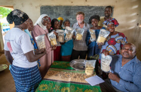 Members of the Jahuur Farmers’ Cooperative attended a training session provided by the Gambian National Agricultural Research Institute (NARI) to learn how to make their own ‘fortified’ porridge using pearl millet, cowpea, maize and groundnut. Improving Agricultural Resilience to Salinity through Development and Promotion of Pro-poor Technologies (RESADE). Visit to The Gambia 27-29 August 2023. Photos: MIchael Major for ICBA
