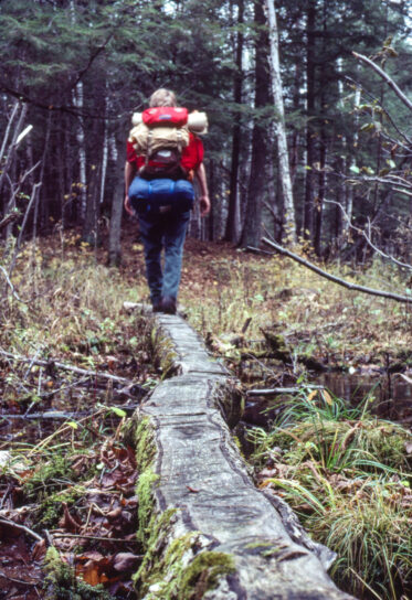 “... I’m in a predominantly sugar maple-hemlock forest after crossing the road. A thick carpet of maple leaves covers the ground. I stopped to munch on partridge berries. ...”