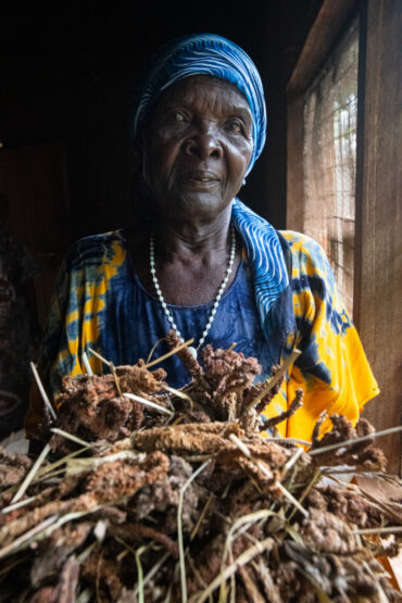 Mary Kwena with a handfull of her recent finger millet harvest. Matungu Sub-County of Kakamega County. Photo: Michael Major/Crop Trust