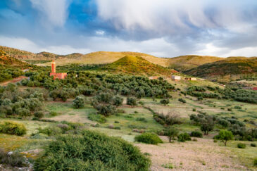 Photo: Michael Major/Crop Trust