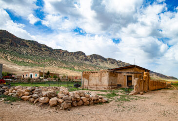 Visit to the farm of Haddou Aaziz near Guigou, Morocco. Haddou is a participant of the ICARDA DIIVA project. Photo: Michael Major/Crop Trust