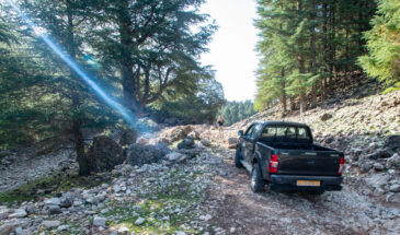 (c)Michael Major/Global Crop Diversity Trust