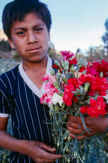 Bolivian boy holding bunch of carnations near Cochabamba