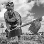 Rose Siele, a farmer in Sirikwa, Molo, Nakuru County, Kenya, harvests potato in a BOLD trial for selecting late blight resistant potatoes.
The Crop Trust's BOLD Project is working with the International Potato Center to select genotypes derived from crosses between CWR-derived hybrids and advanced CIP clones exhibiting late-blight resistance.
Photo: Michael Major for Crop Trust
