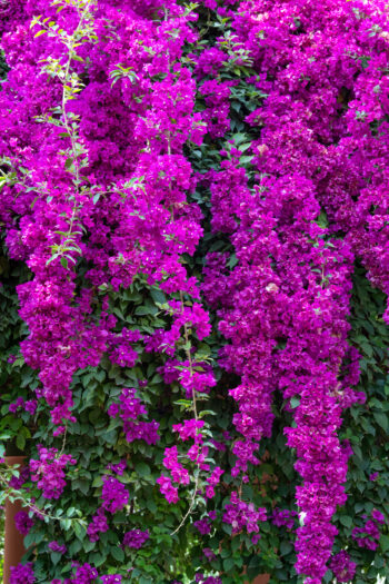 Marrakesh, Morocco. Photo: Michael Major