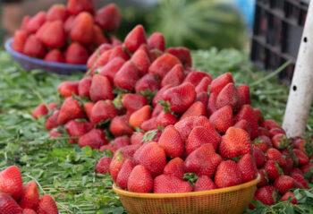 Marrakesh, Morocco. Photo: Michael Major