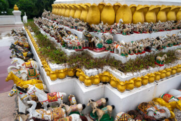 Photo: Michael Major for Crop Trust