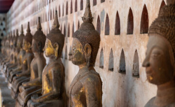 Photo: Michael Major for Crop Trust