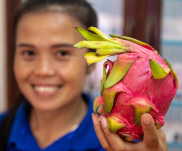 Mrs. Alidsala Dethvongsa, genebank technician, showing dragon fruit. Photo: Michael Major for Crop Trust