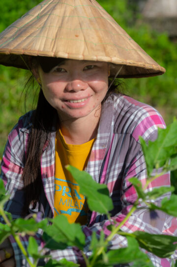 Field worker. Horticulture Research Center. Photo: Michael Major for Crop Trust