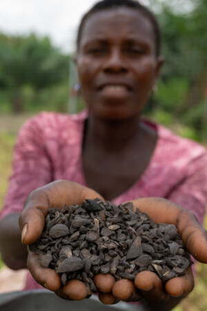 Essivi AWAGA, Farmer in the village of Atti-apédokoè. Demonstration of prodution of biochar in Atti-apédokoè, Togo. Improving Agricultural Resilience to Salinity through Development and Promotion of Pro-poor Technologies (RESADE). Visit to Togo, 23-25 August 2023. Photos: MIchael Major for ICBA