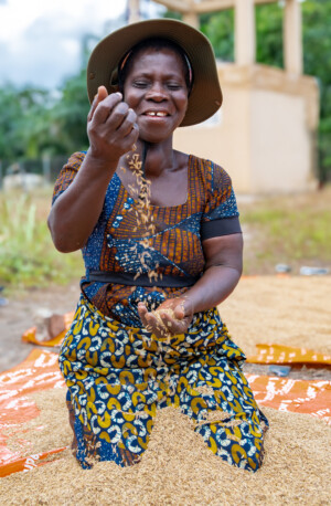 Aku TOKPO, Farmer in the village of Atti-apédokoè. Drying rice in Atti-apédokoè, Togo. Improving Agricultural Resilience to Salinity through Development and Promotion of Pro-poor Technologies (RESADE). Visit to Togo, 23-25 August 2023. Photos: MIchael Major for ICBA