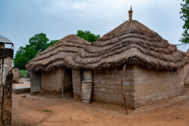 Jahaur, The Gambia.
Photo taken during a visit to The Gambia on 27-29 August 2023 to document success stories under a project “Improving Agricultural Resilience to Salinity through Development and Promotion of Pro-poor Technologies (RESADE)” implemented by the International Center for Biosaline Agriculture (ICBA) and funded by the International Fund for Agricultural Development (IFAD) and the Arab Bank for Economic Development in Africa (BADEA).
More information about the project can be found at: resade.biosaline.org/
Photo credit: Michael Major for ICBA