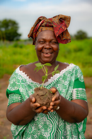 Ndey Jobe, Vice President Gengi Wollof Farmer Field School, holding cowpea seedling.
Community seedbank at the Genji Wolof Vegetable Garden.
Photo taken during a visit to The Gambia on 27-29 August 2023 to document success stories under a project “Improving Agricultural Resilience to Salinity through Development and Promotion of Pro-poor Technologies (RESADE)” implemented by the International Center for Biosaline Agriculture (ICBA) and funded by the International Fund for Agricultural Development (IFAD) and the Arab Bank for Economic Development in Africa (BADEA).
More information about the project can be found at: resade.biosaline.org/
Photo credit: Michael Major for ICBA
