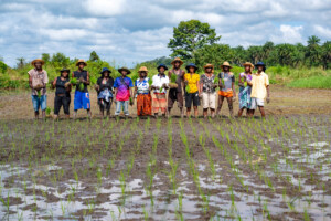 Members of various cooperatives from Rokupr, demonstrate how they have learned to transplant rice in straight rows in a rice paddy on the farm of the Sierra Leone Agricultural Research Institute.
Photo taken during a visit to Sierra Leone on 31 August 2023 to document success stories under a project “Improving Agricultural Resilience to Salinity through Development and Promotion of Pro-poor Technologies (RESADE)” implemented by the International Center for Biosaline Agriculture (ICBA) and funded by the International Fund for Agricultural Development (IFAD) and the Arab Bank for Economic Development in Africa (BADEA).
More information about the project can be found at: resade.biosaline.org/
Photo credit: Michael Major for ICBA