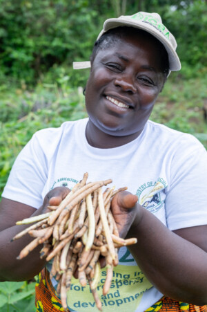 Alice Brown 
The Dehdoyeajay Cooperative in Neekree Community, Grand Bassa, Liberia has planted a community seedbank of improved cowpeas.
Photo taken during a visit to Bassa County, Liberia from 4-5 September 2023 to document success stories under a project “Improving Agricultural Resilience to Salinity through Development and Promotion of Pro-poor Technologies (RESADE)” implemented by the International Center for Biosaline Agriculture (ICBA) and funded by the International Fund for Agricultural Development (IFAD) and the Arab Bank for Economic Development in Africa (BADEA).
More information about the project can be found at: resade.biosaline.org/
Photo credit: Michael Major for ICBA