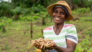 Catherine Kugbeh
The Dehdoyeajay Cooperative in Neekree Community, Grand Bassa, Liberia has planted a community seedbank of improved cowpeas.
Photo taken during a visit to Bassa County, Liberia from 4-5 September 2023 to document success stories under a project “Improving Agricultural Resilience to Salinity through Development and Promotion of Pro-poor Technologies (RESADE)” implemented by the International Center for Biosaline Agriculture (ICBA) and funded by the International Fund for Agricultural Development (IFAD) and the Arab Bank for Economic Development in Africa (BADEA).
More information about the project can be found at: resade.biosaline.org/
Photo credit: Michael Major for ICBA