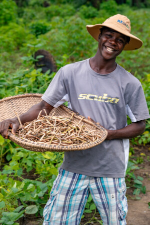The Dehdoyeajay Cooperative in Neekree Community, Grand Bassa, Liberia has planted a community seedbank of improved cowpeas.
Photo taken during a visit to Bassa County, Liberia from 4-5 September 2023 to document success stories under a project “Improving Agricultural Resilience to Salinity through Development and Promotion of Pro-poor Technologies (RESADE)” implemented by the International Center for Biosaline Agriculture (ICBA) and funded by the International Fund for Agricultural Development (IFAD) and the Arab Bank for Economic Development in Africa (BADEA).
More information about the project can be found at: resade.biosaline.org/
Photo credit: Michael Major for ICBA