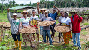The Dehdoyeajay Cooperative in Neekree Community, Grand Bassa, Liberia has planted a community seedbank of improved cowpeas.
Photo taken during a visit to Bassa County, Liberia from 4-5 September 2023 to document success stories under a project “Improving Agricultural Resilience to Salinity through Development and Promotion of Pro-poor Technologies (RESADE)” implemented by the International Center for Biosaline Agriculture (ICBA) and funded by the International Fund for Agricultural Development (IFAD) and the Arab Bank for Economic Development in Africa (BADEA).
More information about the project can be found at: resade.biosaline.org/
Photo credit: Michael Major for ICBA