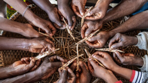 The Dehdoyeajay Cooperative in Neekree Community, Grand Bassa, Liberia has planted a community seedbank of improved cowpeas.
Photo taken during a visit to Bassa County, Liberia from 4-5 September 2023 to document success stories under a project “Improving Agricultural Resilience to Salinity through Development and Promotion of Pro-poor Technologies (RESADE)” implemented by the International Center for Biosaline Agriculture (ICBA) and funded by the International Fund for Agricultural Development (IFAD) and the Arab Bank for Economic Development in Africa (BADEA).
More information about the project can be found at: resade.biosaline.org/
Photo credit: Michael Major for ICBA