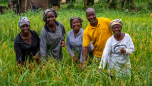 United Women Cooperative at Dirt Community, Grand Bassa, Liberia.
Photo taken during a visit to Bassa County, Liberia from 4-5 September 2023 to document success stories under a project “Improving Agricultural Resilience to Salinity through Development and Promotion of Pro-poor Technologies (RESADE)” implemented by the International Center for Biosaline Agriculture (ICBA) and funded by the International Fund for Agricultural Development (IFAD) and the Arab Bank for Economic Development in Africa (BADEA).
More information about the project can be found at: resade.biosaline.org/
Photo credit: Michael Major for ICBA