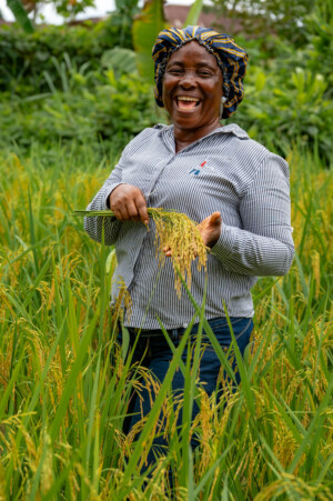 Name of farmer: Bendu 
United Women Cooperative at Dirt Community, Grand Bassa, Liberia.
Photo taken during a visit to Bassa County, Liberia from 4-5 September 2023 to document success stories under a project “Improving Agricultural Resilience to Salinity through Development and Promotion of Pro-poor Technologies (RESADE)” implemented by the International Center for Biosaline Agriculture (ICBA) and funded by the International Fund for Agricultural Development (IFAD) and the Arab Bank for Economic Development in Africa (BADEA).
More information about the project can be found at: resade.biosaline.org/
Photo credit: Michael Major for ICBA