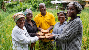 United Women Cooperative at Dirt Community, Grand Bassa, Liberia.
Photo taken during a visit to Bassa County, Liberia from 4-5 September 2023 to document success stories under a project “Improving Agricultural Resilience to Salinity through Development and Promotion of Pro-poor Technologies (RESADE)” implemented by the International Center for Biosaline Agriculture (ICBA) and funded by the International Fund for Agricultural Development (IFAD) and the Arab Bank for Economic Development in Africa (BADEA).
More information about the project can be found at: resade.biosaline.org/
Photo credit: Michael Major for ICBA