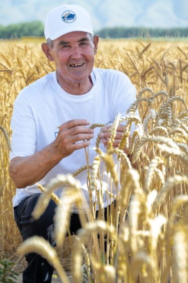 Crop Trust sponsored visit to Kazakhstan and Kyrgyzstan from 15-28 July to document alfalfa pre-breeding project. Photo: Michael Major for Crop Trust