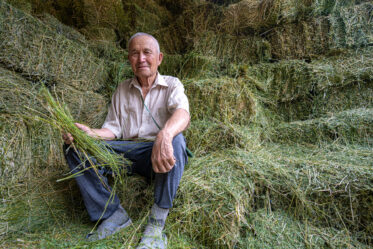 Farmer Aidarhan Nurbekov of the farm “Baiterek” in the Almaty region of Yenbekshi in his alfalfa hayshed.
Crop Trust sponsored visit to Kazakhstan and Kyrgyzstan from 15-28 July to document alfalfa pre-breeding project. Photo: Michael Major for Crop Trust
