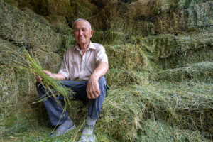 Farmer Aidarhan Nurbekov of the farm “Baiterek” in the Almaty region of Yenbekshi in his alfalfa hayshed.
Crop Trust sponsored visit to Kazakhstan and Kyrgyzstan from 15-28 July to document alfalfa pre-breeding project. Photo: Michael Major for Crop Trust