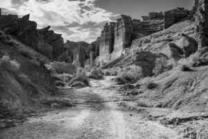 Crop Trust sponsored visit to Kazakhstan and Kyrgyzstan from 15-28 July to document alfalfa pre-breeding project. Photo: Michael Major for Crop Trust