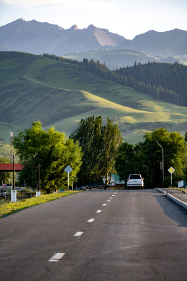 Crop Trust sponsored visit to Kazakhstan and Kyrgyzstan from 15-28 July to document alfalfa pre-breeding project. Photo: Michael Major for Crop Trust
