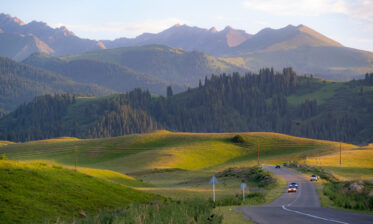 Crop Trust sponsored visit to Kazakhstan and Kyrgyzstan from 15-28 July to document alfalfa pre-breeding project. Photo: Michael Major for Crop Trust