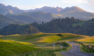 Crop Trust sponsored visit to Kazakhstan and Kyrgyzstan from 15-28 July to document alfalfa pre-breeding project. Photo: Michael Major for Crop Trust